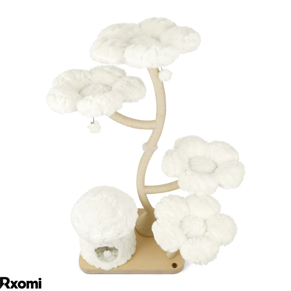PurrBloom