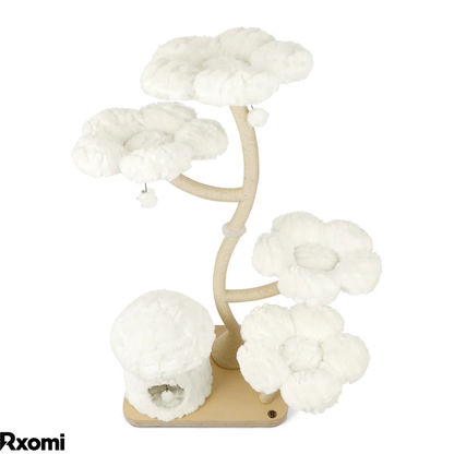 PurrBloom